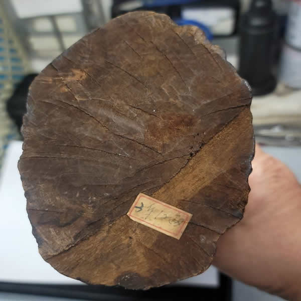 高價收購沉香原木