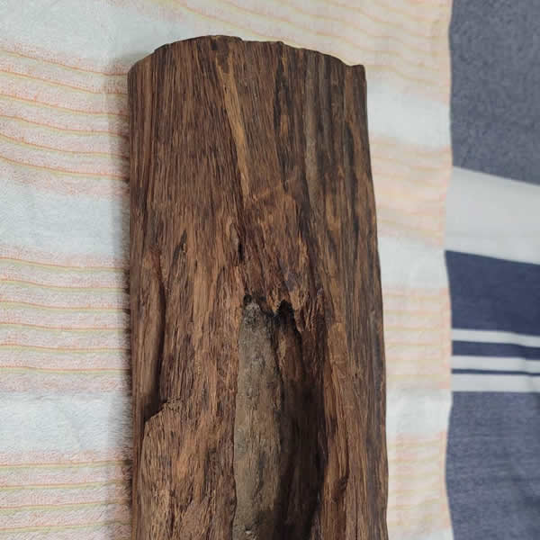 高價收購沉香原木