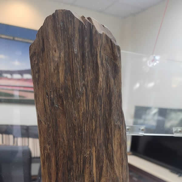 高價收購沉香原木